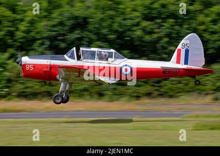 Chipmunk WB697 Stockfoto