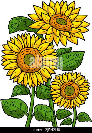 Sonnenblume Cartoon Farbige Cliparte Stock Vektor