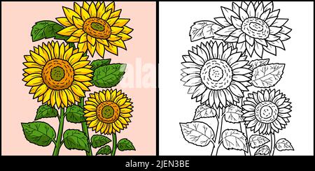 Sonnenblumen Färbung Seite Farbige Illustration Stock Vektor