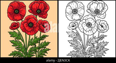 Mais-Mohnblume Färbung Farbige Illustration Stock Vektor