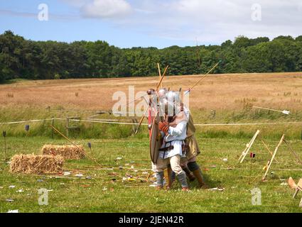 Wikinger Schlacht Nachstellung Szene Stockfoto