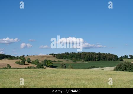 Landschaft in Bayern mit grünen Feldern und Wiesen vor blauem Himmel. Ein paar Schafe weiden auf einem sanften Hügel weit weg Stockfoto