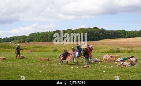 Wikinger Schlacht Nachstellung Szene Stockfoto