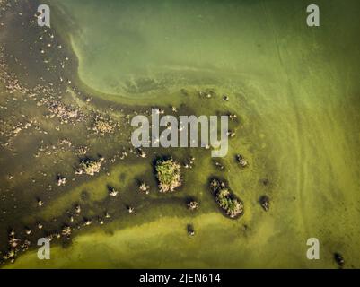 Von oben nach unten aus der Drohne blickt man auf die Lagune mit grüner Vegetation und Sandboden an einem sonnigen Morgen im Dschungel der Halbinsel Yucatan Stockfoto