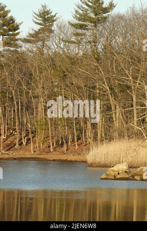 Swasey Parkway wurde geschaffen, um Exeters Innenstadt zu verschönern. Sie ersetzte alte Kais und Lagerhäuser am Squamscott River. Es läuft entlang des Flusses mit Stockfoto