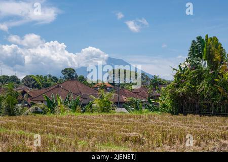 Vulkan Mt. Agung in Bali Indonesien mit Blick auf das Reisfeld und die Dächer der Häuser. Blauer Himmel und weiße Wolken Stockfoto