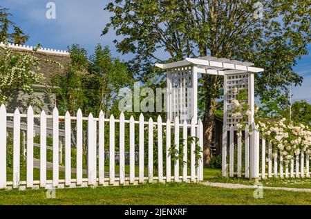 Gartentor mit weißem Zaun und weißen Rosen. Romantisches Foto für Hochzeit Hintergrund. Niemand, selektiver Fokus Stockfoto
