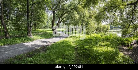 Gewundener Fußweg am Seeufer mit schönen grünen Bäumen im Sommer. Panoramablick. Stockfoto