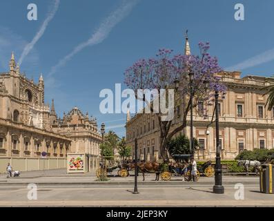 Typische Pferdekutsche in der historischen Altstadt von Sevilla, Andalusien, Stockfoto