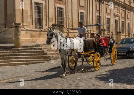 Typische Pferdekutsche in der historischen Altstadt von Sevilla, Andalusien, Stockfoto