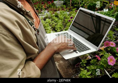 Nahaufnahme eines afrikanischen Floristen mit Laptop, um mit Online-Bestellungen zu arbeiten, während er im Blumenladen arbeitet Stockfoto