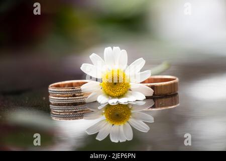 Verlobungsgold-Eheringe liegen auf einem dunklen Spiegel in der Sonne mit einer Kamillenblume, Goldringen, Hochzeit Stockfoto