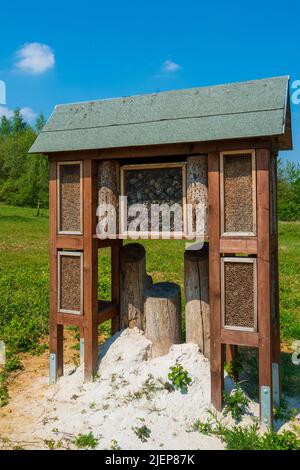 Insektenhotel in einer grünen Hecke bietet Schutz. Holzinsektenhaus Unterstand für wilde Insekten im Waldreservat Stockfoto