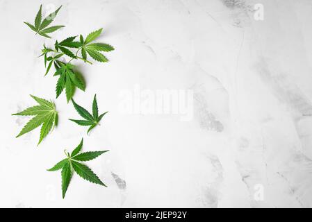 Cannabisblätter, Marihuana-grüne Blätter auf weißem Marmorhintergrund, Kopierraum. Kräutermedizin. Hanf Erholung, Legalisierungskonzept. Stockfoto