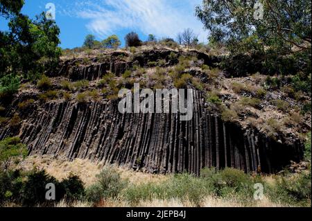 Der Organ Pipes National Park liegt wenige Kilometer nordöstlich von Melbourne, am östlichen Rand eines riesigen Lavastroms, der 350 km westlich verläuft. Stockfoto