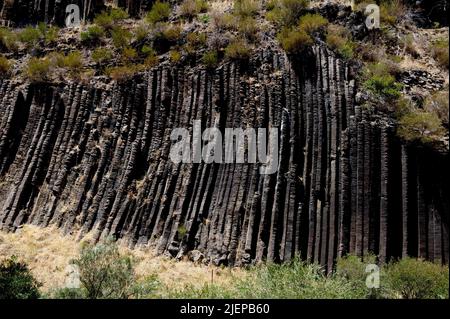 Der Organ Pipes National Park liegt wenige Kilometer nordöstlich von Melbourne, am östlichen Rand eines riesigen Lavastroms, der 350 km westlich verläuft. Stockfoto