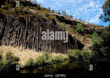 Der Organ Pipes National Park liegt wenige Kilometer nordöstlich von Melbourne, am östlichen Rand eines riesigen Lavastroms, der 350 km westlich verläuft. Stockfoto