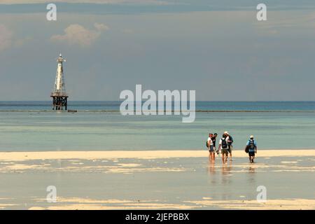 Eine Gruppe von Besuchern, die sich bei Ebbe am flachen Sandstrand der Insel Sangalaki, einer Insel, die dem Schutz von Meeresschildkröten gewidmet ist und Teil des Schutzgebiets der Berau Marine innerhalb des Derawan-Archipels in Berau, Ost-Kalimantan, Indonesien, befinden. Stockfoto