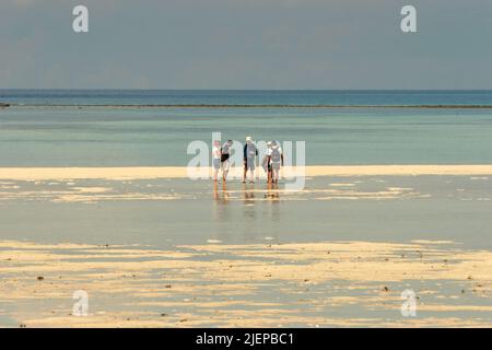 Eine Gruppe von Besuchern, die sich bei Ebbe am flachen Sandstrand der Insel Sangalaki, einer Insel, die dem Schutz von Meeresschildkröten gewidmet ist und Teil des Schutzgebiets der Berau Marine innerhalb des Derawan-Archipels in Berau, Ost-Kalimantan, Indonesien, befinden. Stockfoto