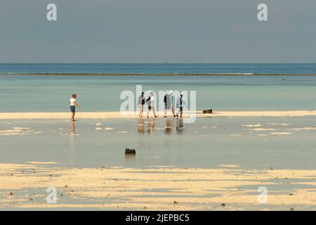 Eine Gruppe von Besuchern, die sich bei Ebbe am flachen Sandstrand der Insel Sangalaki, einer Insel, die dem Schutz von Meeresschildkröten gewidmet ist und Teil des Schutzgebiets der Berau Marine innerhalb des Derawan-Archipels in Berau, Ost-Kalimantan, Indonesien, befinden. Stockfoto