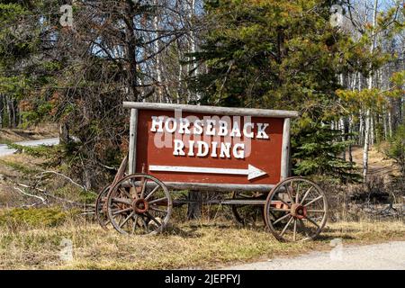 Reiten, Jasper Riding Stables auf der Pyramid Lake Road. Alberta, Kanada. Stockfoto