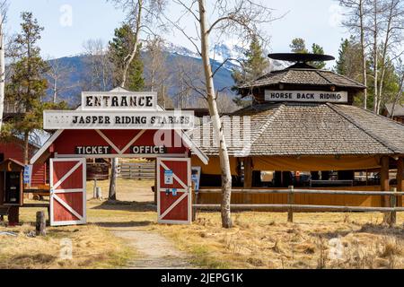 Reiten, Jasper Riding Stables auf der Pyramid Lake Road. Alberta, Kanada. Stockfoto