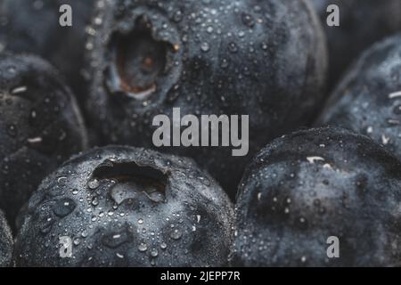 Eine Makroaufnahme von frischen Blaubeeren mit Wassertropfen darauf Stockfoto