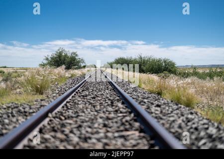 Ein Foto von einer kilometerlangen und geraden Bahnstrecke in Namibia. Blauer Himmel mit weißen Wolken in grüner Natur (Regenzeit). Stockfoto