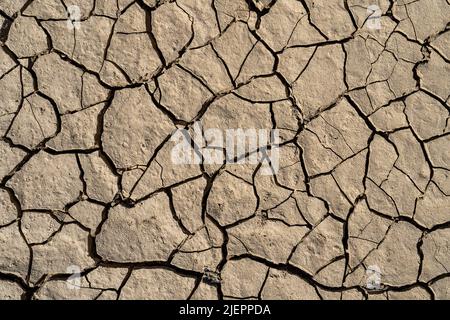 Ein ausgetrockneter Ton oder sandiger Boden aufgrund von Wassermangel in einem Flussbett. Stockfoto