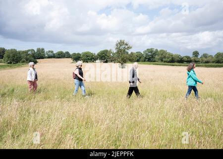 Zwei ältere Eltern ziehen ihre erwachsenen Töchter mittleren Alters am 26.. Juni 202 in London, England, über eine Sommerwiese, auf der langes Gras und wilde Blumen am Stadtrand von North Somerset wachsen. Stockfoto