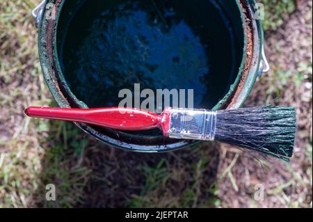 Zinn, Borsten, Maler, Farbe, Werkzeug, Farbton, Pinsel, Pinsel, Renovierung, Schutz, Reparatur, Verbesserung, bunt, Dekorateure, Material, Dekorieren, oder Stockfoto