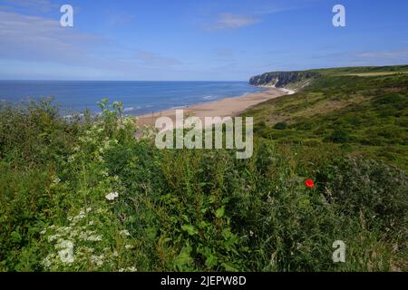 ' REIGHTON SANDS ' , ' FILEY BAY ' , ' NORTH YORKSHIRE COAST ' . Stockfoto