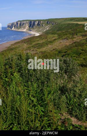 ' REIGHTON SANDS ' , ' FILEY BAY ' , ' NORTH YORKSHIRE COAST ' . Stockfoto