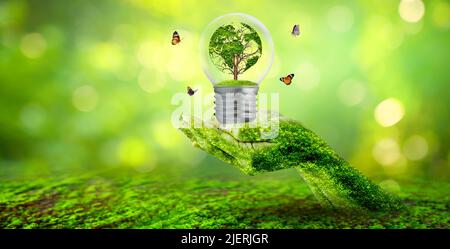 Weltgeformter Baum in Glühbirne Konzept des Umweltschutzes und des Schutzes der Natur Stockfoto