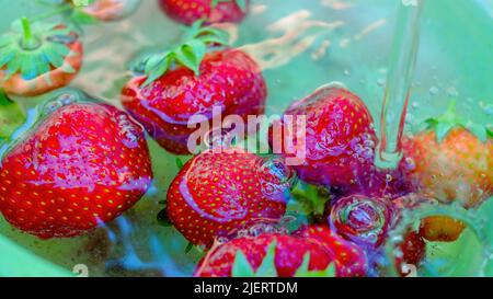 Erdbeere. Reife Beeren im Wasser. Nahaufnahme. Selektiver Fokus Stockfoto