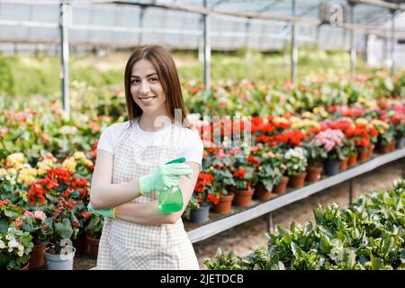 Gartenkonzept. Hübsche lächelnde Frau in der Schürze, die das Sprühgerät in der Hand hält und zur Kamera schaut, die im modernen Gewächshaus auf dem Hintergrund von pla steht Stockfoto