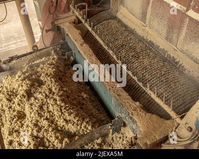 Verarbeitung von Zuckerrohr in der Mühle Stockfoto