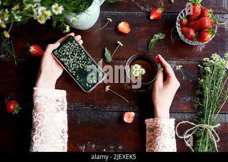 Frau hält eine Tasse Kamillentee und ein Mobiltelefon. Sommer stimmungsvolle frische Erdbeeren, Kamille, natürlicher Tee und Minze. Modell eines mobilen Bildschirms mit Feld für Kamillenblumen. Stockfoto