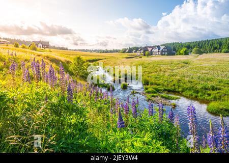 Sonniger Abend im Dorf Jizerka Stockfoto