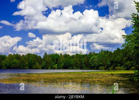 Der 422 Hektar große Promised Land Lake ist einer von zwei Seen im Promised Land State Park in den Pocono Mountains in Pennsylvania Stockfoto