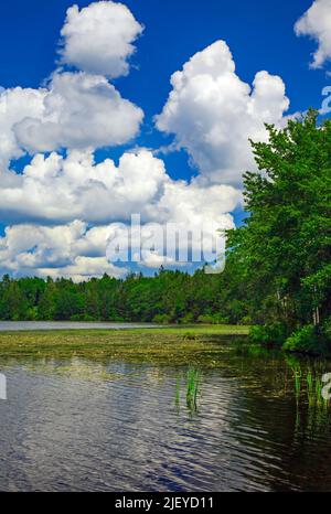 Der 422 Hektar große Promised Land Lake ist einer von zwei Seen im Promised Land State Park in den Pocono Mountains in Pennsylvania Stockfoto