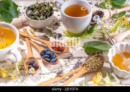 Gesunde Getränke, Erntekräuter und Blumenkonzept. Frische und getrocknete Bio-Kräuter, Set aus verschiedenen floralen Teesorten, mit gebrühten heißen Teetassen auf Stockfoto