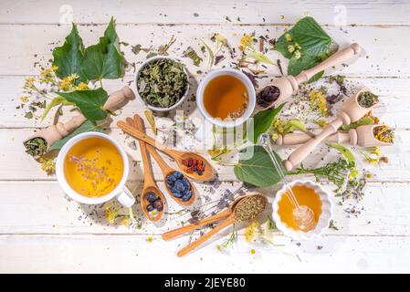 Gesunde Getränke, Erntekräuter und Blumenkonzept. Frische und getrocknete Bio-Kräuter, Set aus verschiedenen floralen Teesorten, mit gebrühten heißen Teetassen auf Stockfoto