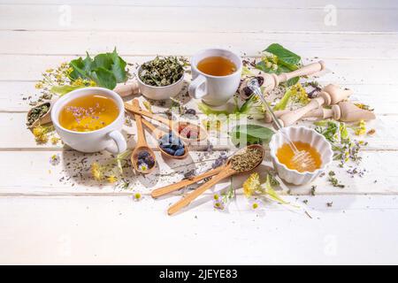 Gesunde Getränke, Erntekräuter und Blumenkonzept. Frische und getrocknete Bio-Kräuter, Set aus verschiedenen floralen Teesorten, mit gebrühten heißen Teetassen auf Stockfoto