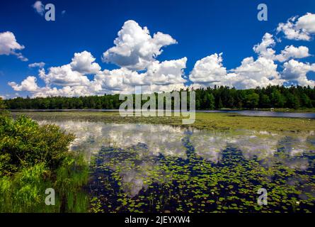 Der 422 Hektar große Promised Land Lake ist einer von zwei Seen im Promised Land State Park in den Pocono Mountains in Pennsylvania Stockfoto