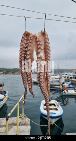 Eine vertikale Nahaufnahme eines Tintenfischs, der am Hafen in Griechenland an einem Seil hängt Stockfoto