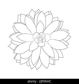 Sukulent outline doodle. Grafiken Skizze Haus Wüste Blume. Vektorgrafik, weißer Hintergrund. Stock Vektor