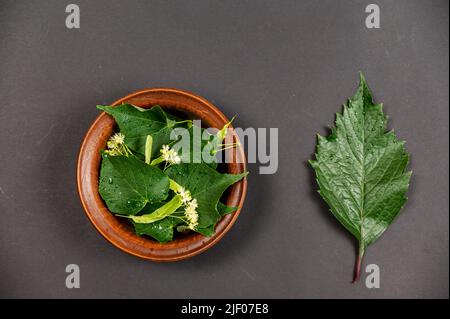 Konzept der Volksmedizin. Maiden Traubenblatt und braune Schale gegenüber schwarzem Hintergrund. Tonschale mit Lindenblättern und Blumen. Wassertropfen auf Linden Stockfoto