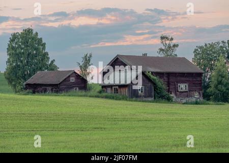 Die braunen Holzhäuser in der schwedischen Landschaft in einem grünen Fiel unter dem Dämmerungshimmel Stockfoto