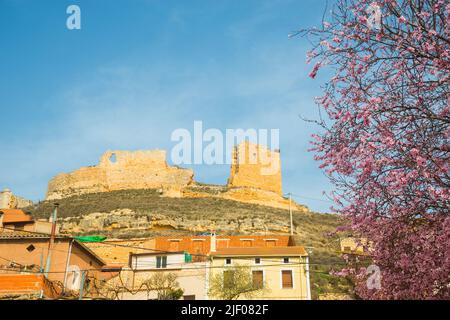 Ruinen der Burg. Torregalindo, Provinz Burgos, Castilla Leon, Spanien. Stockfoto